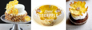 Dried Pineapple Image for Post_Final